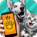 PetTranslator動(dòng)物語言翻譯器