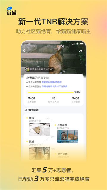 哈啰街貓下載