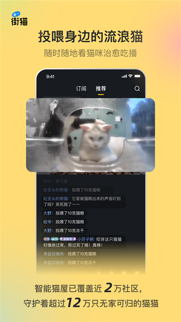 哈啰街貓下載
