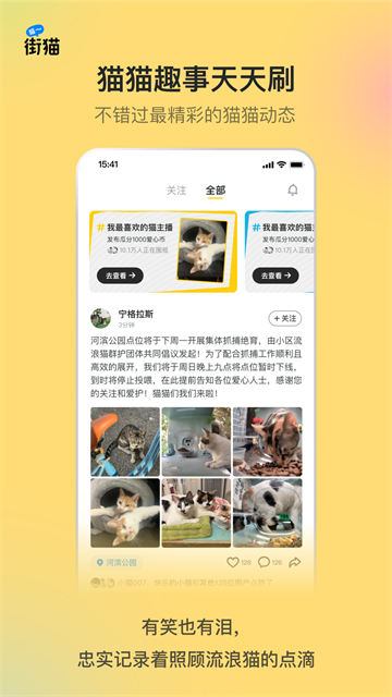 哈啰街貓下載