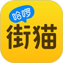哈啰街貓
